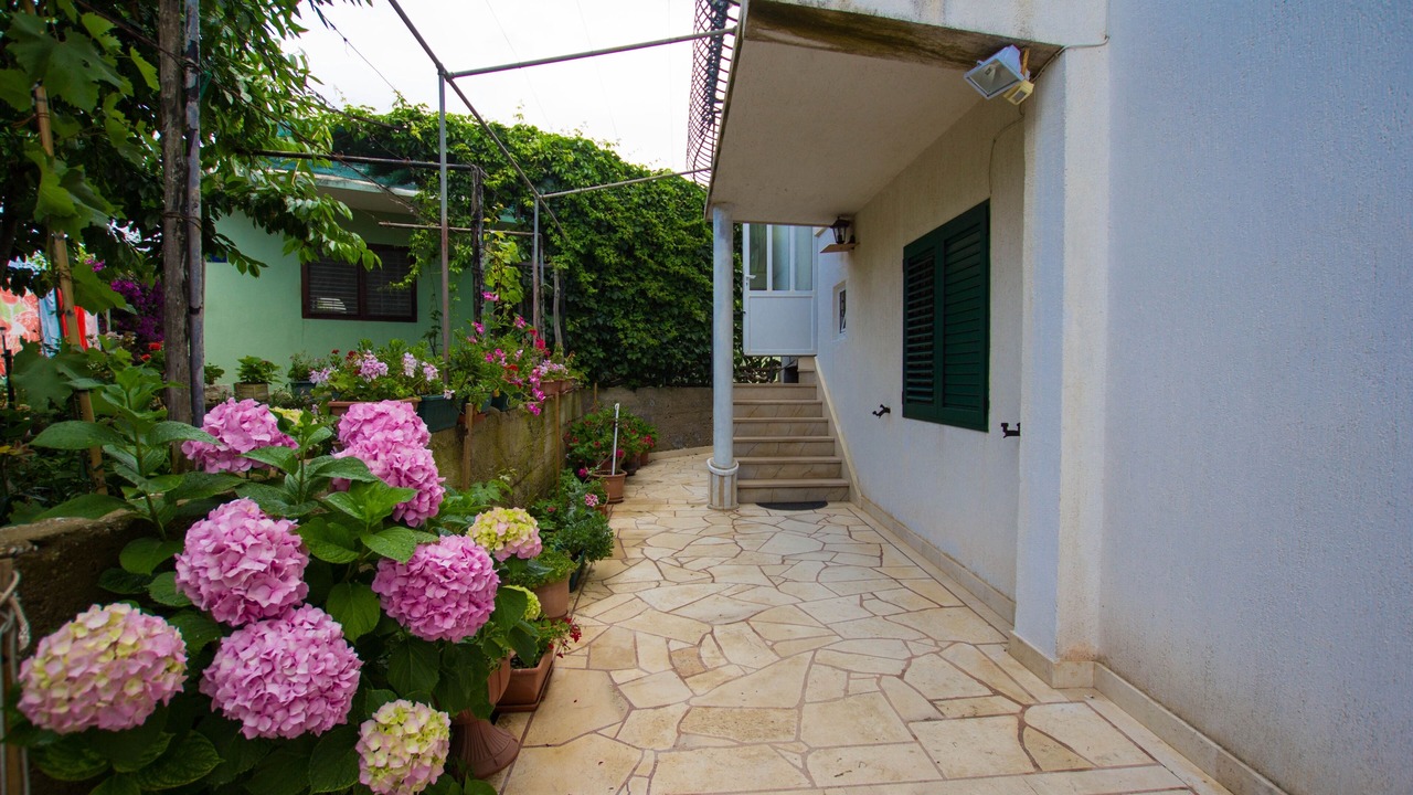 Photo of Outdoor in Sucuraj