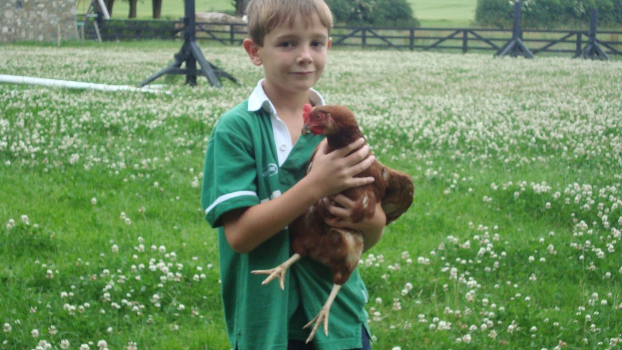 Photo of Others in Lismullin