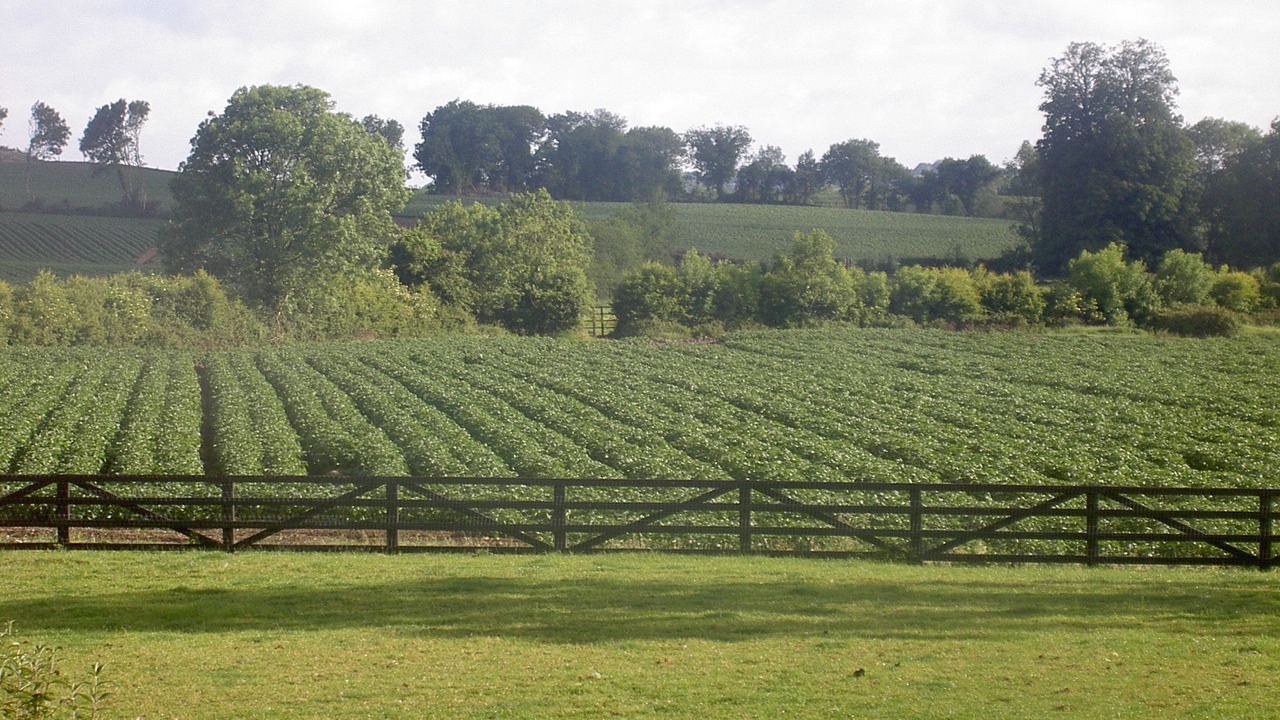 Photo of Outdoor in Lismullin