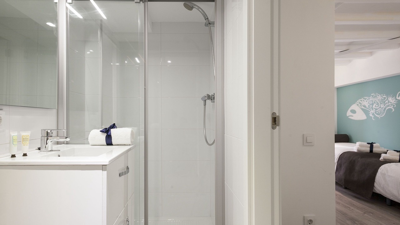 Photo of Bathroom in Hostafrancs