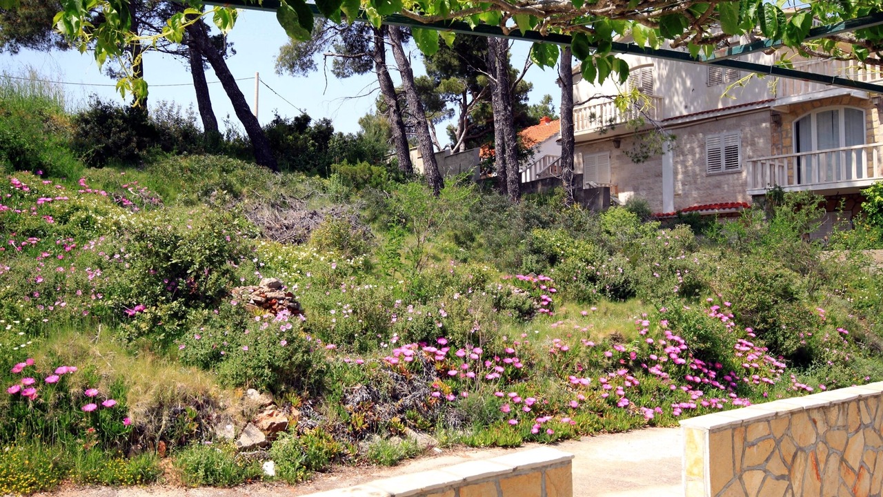 Photo of Others in Cove Basina (Jelsa)