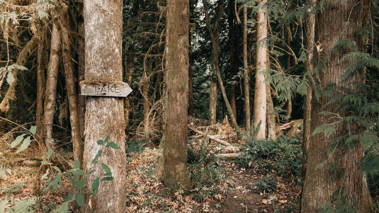 Photo of Others in Maple Falls