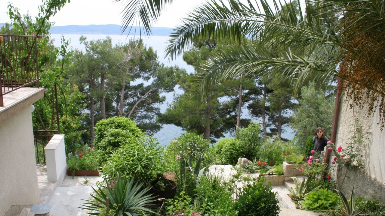 Photo of Outdoor in Brela