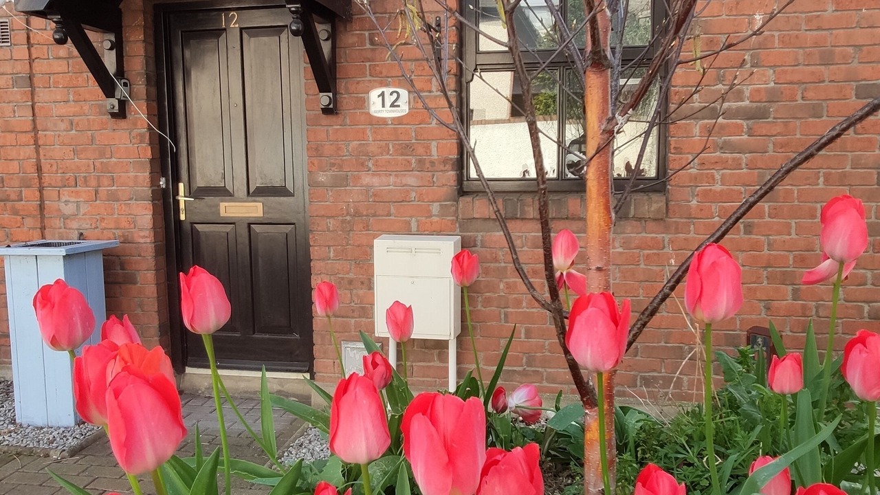 Photo of Others in The Liberties