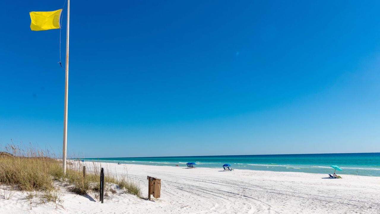 Photo of Others in Seagrove Beach