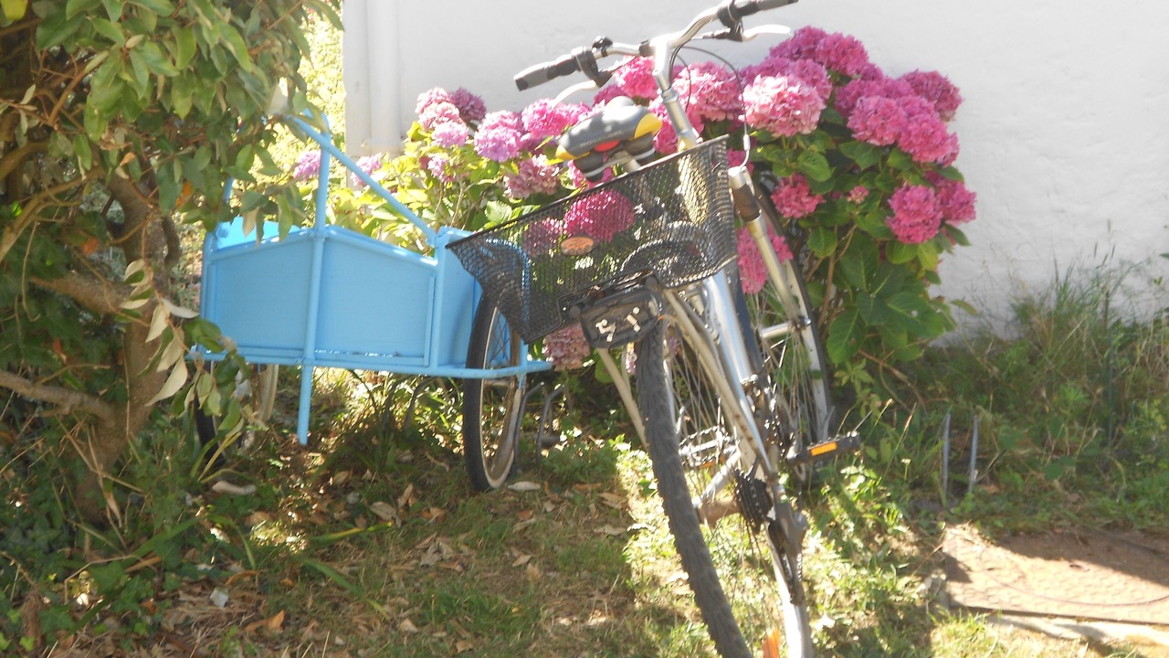 Photo of Outdoor in Quiberon