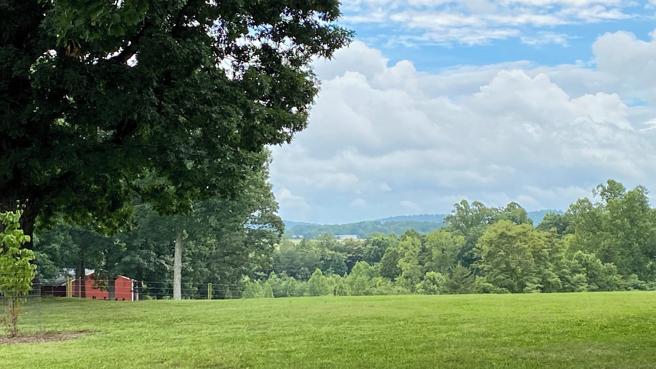 Photo of Others in Lynchburg