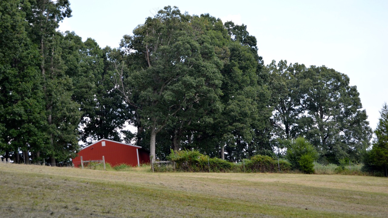 Photo of Others in Lynchburg