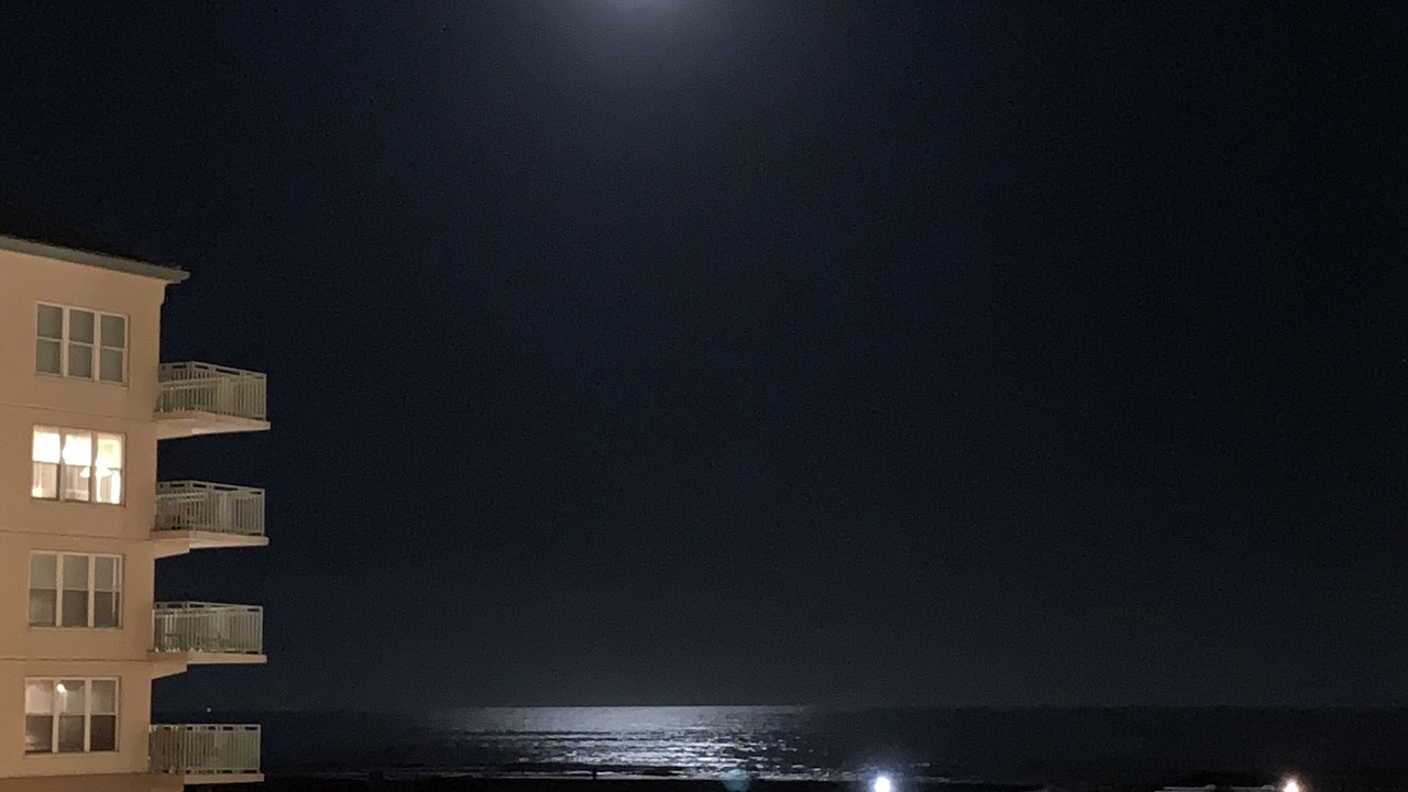 Photo of Others in Diamond Beach