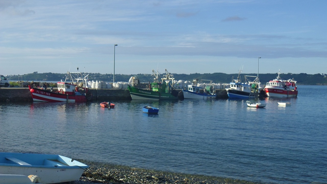 Photo of Others in Tredrez-Locquemeau