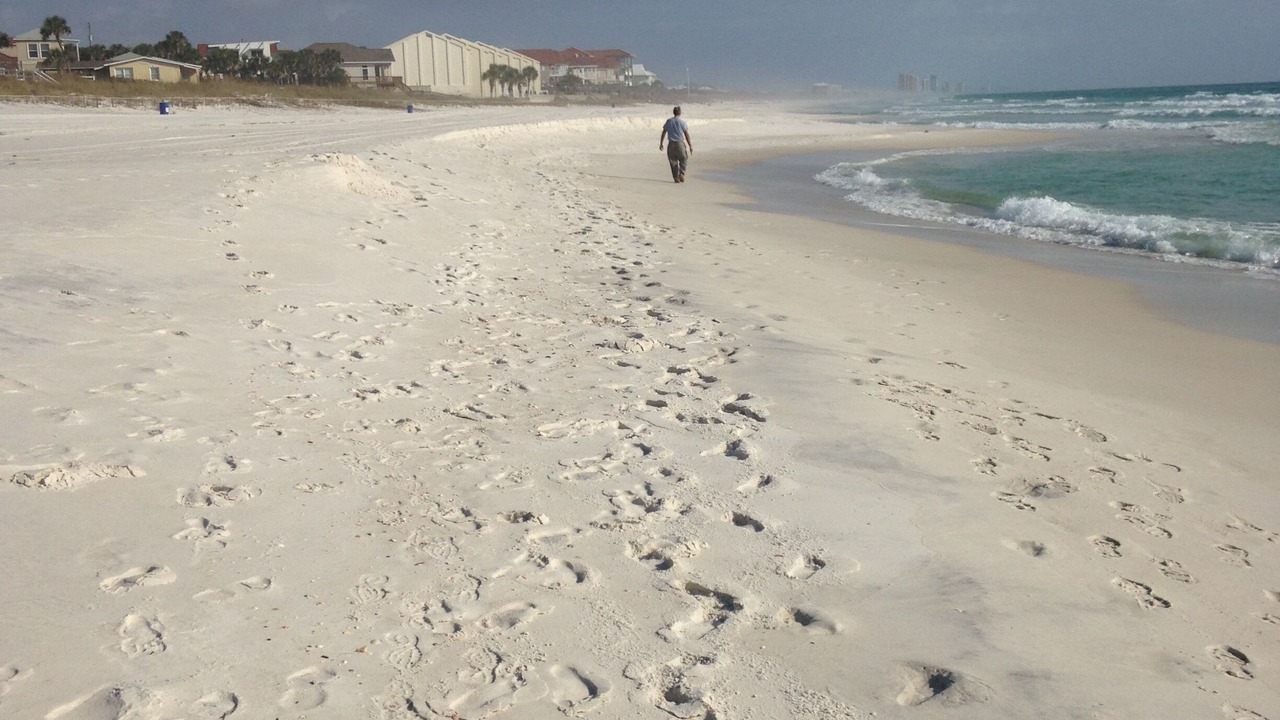 Photo of Others in Kiska Beach