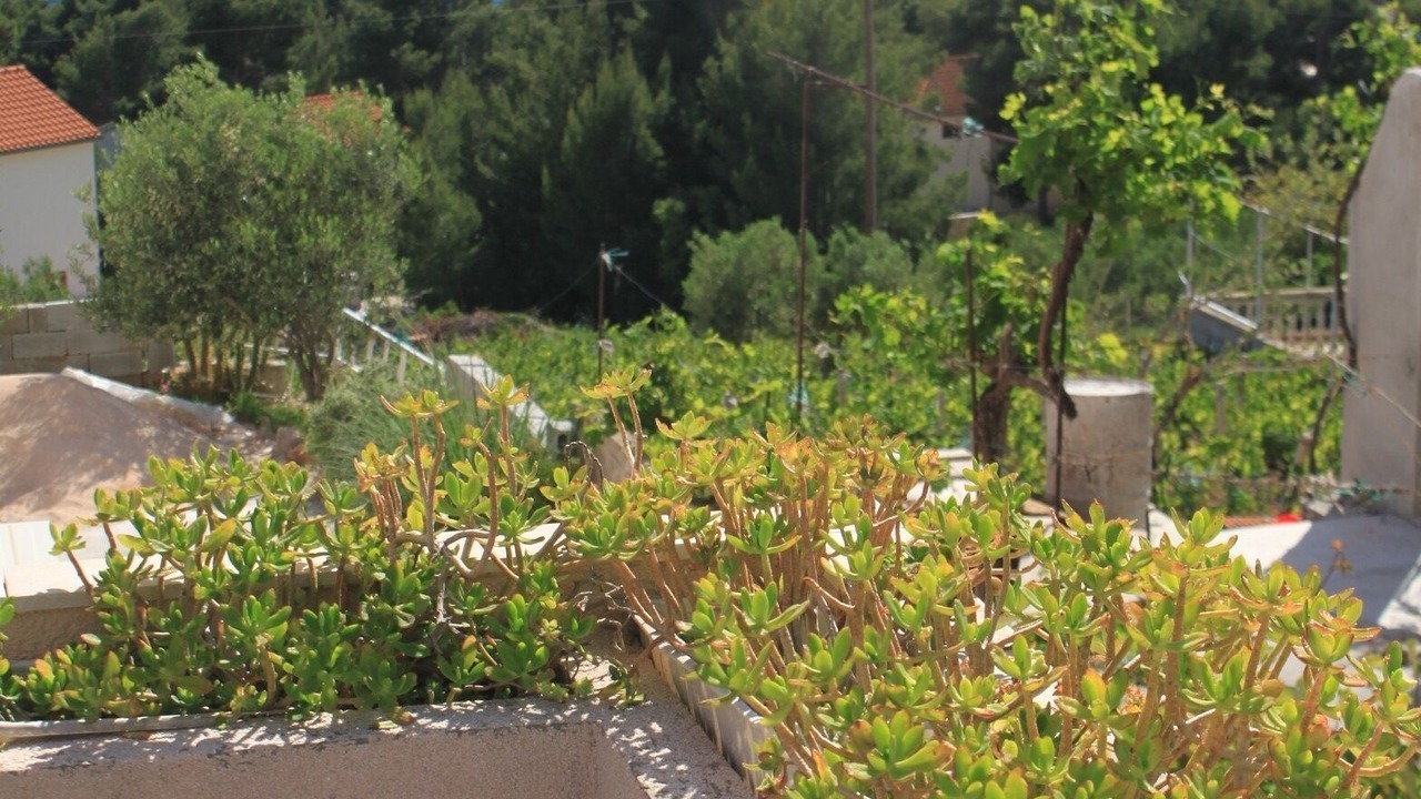 Photo of Outdoor in Ivan Dolac
