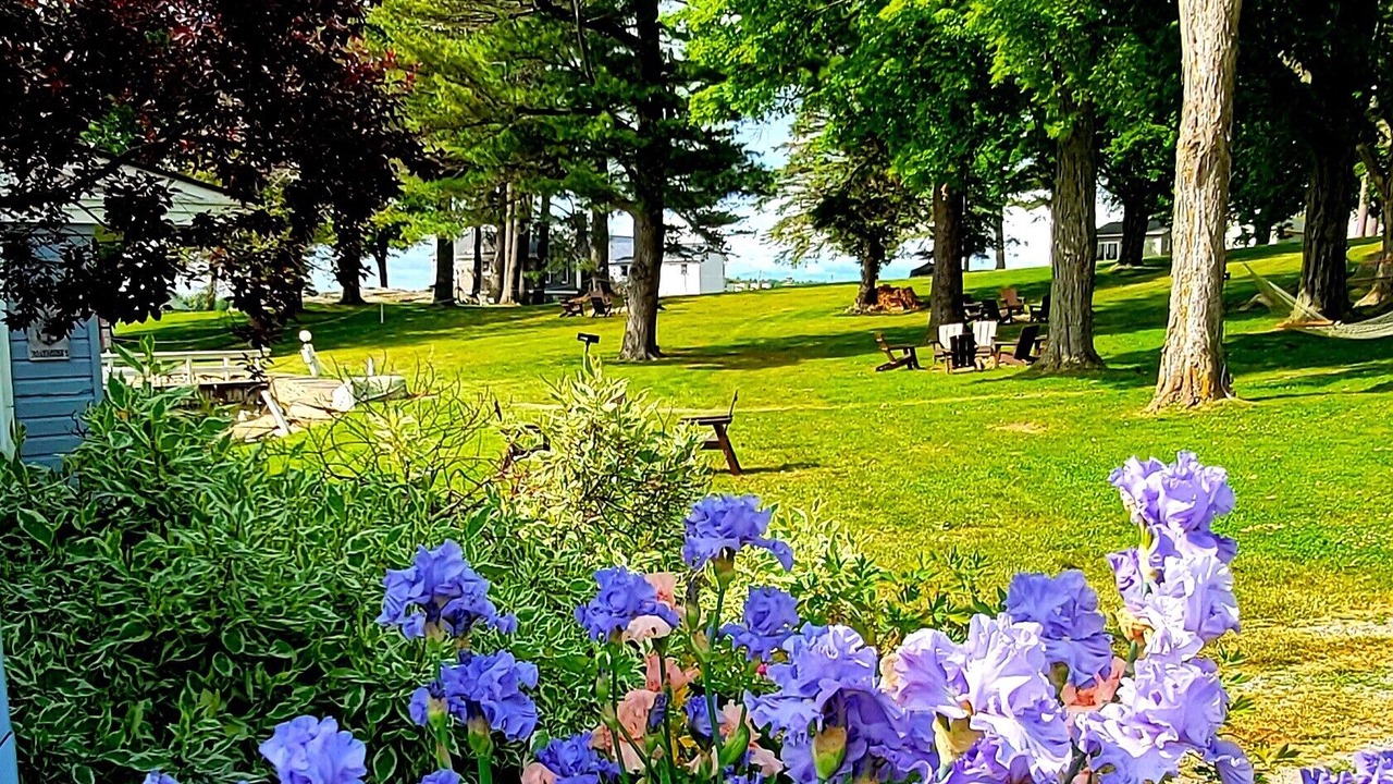 Photo of Outdoor in Alexandria Bay