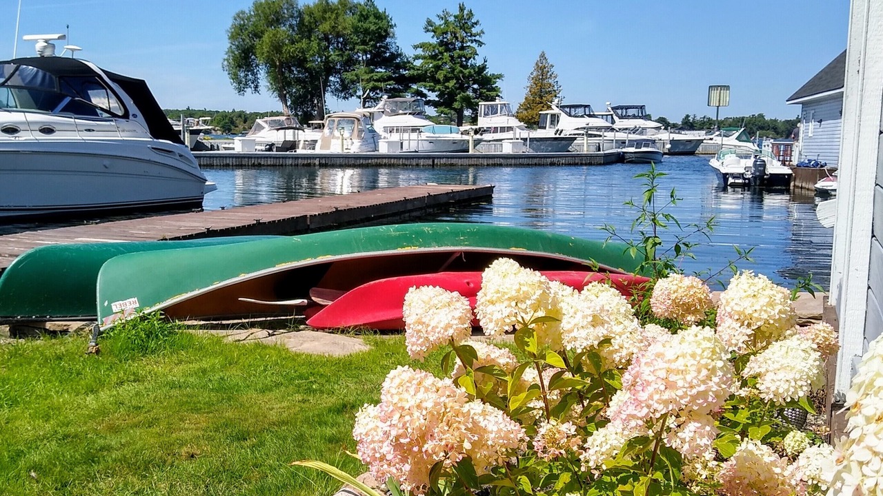 Photo of Others in Alexandria Bay