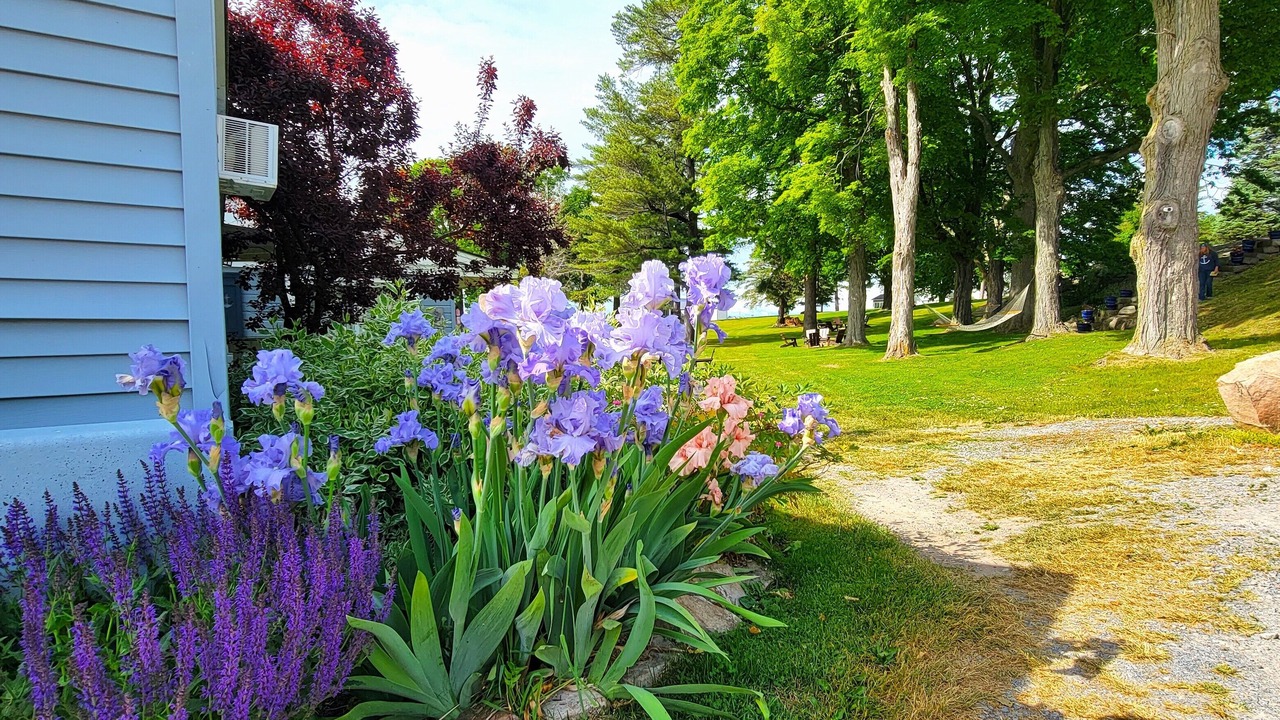 Photo of Outdoor in Alexandria Bay