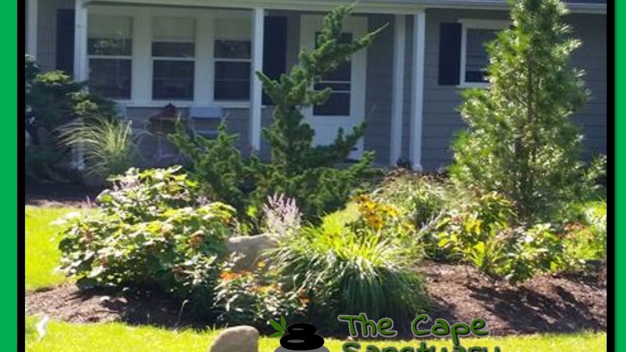 Photo of Outdoor in West Falmouth
