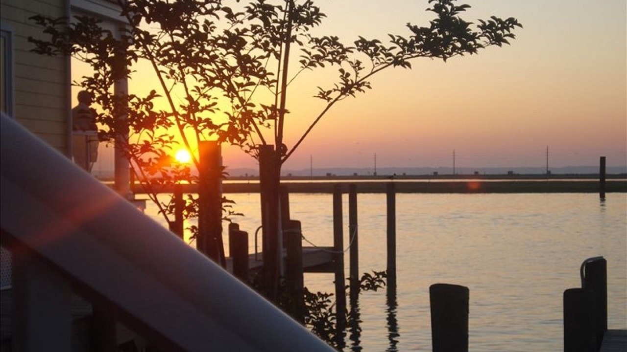 Photo of Others in Chincoteague