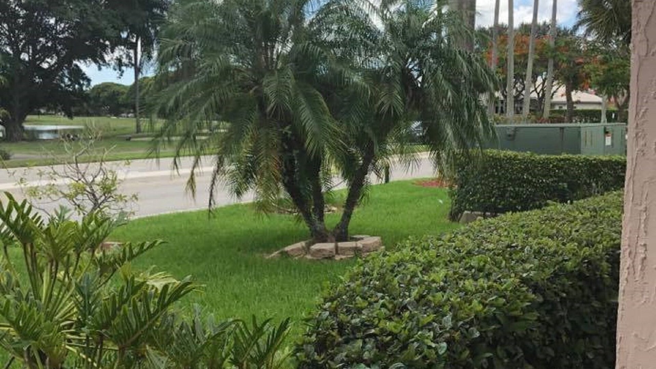 Photo of Outdoor in Pembroke Pines