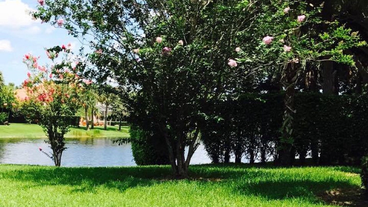 Photo of Outdoor in Pembroke Pines
