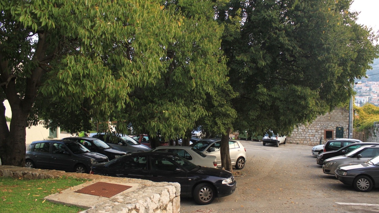 Photo of Others in Lapad