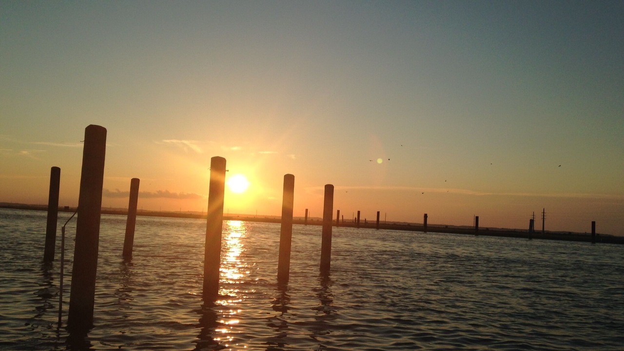Photo of Others in Chincoteague