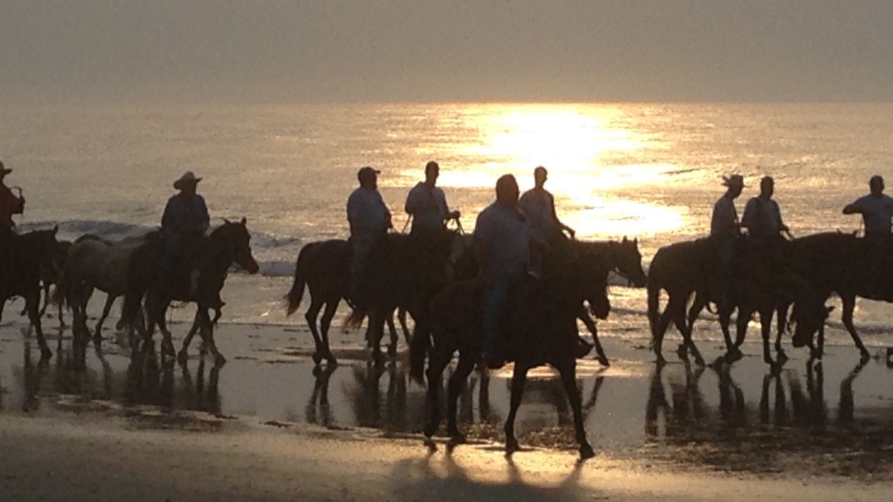 Photo of Others in Chincoteague