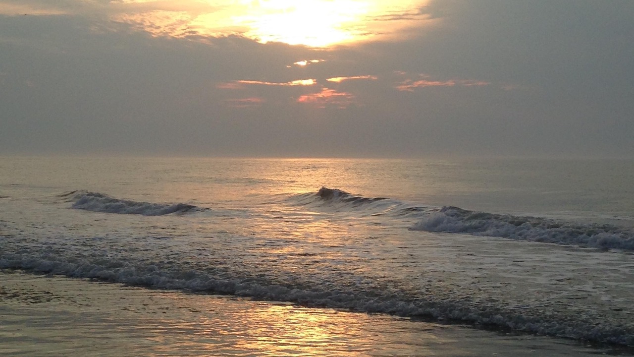 Photo of Others in Chincoteague