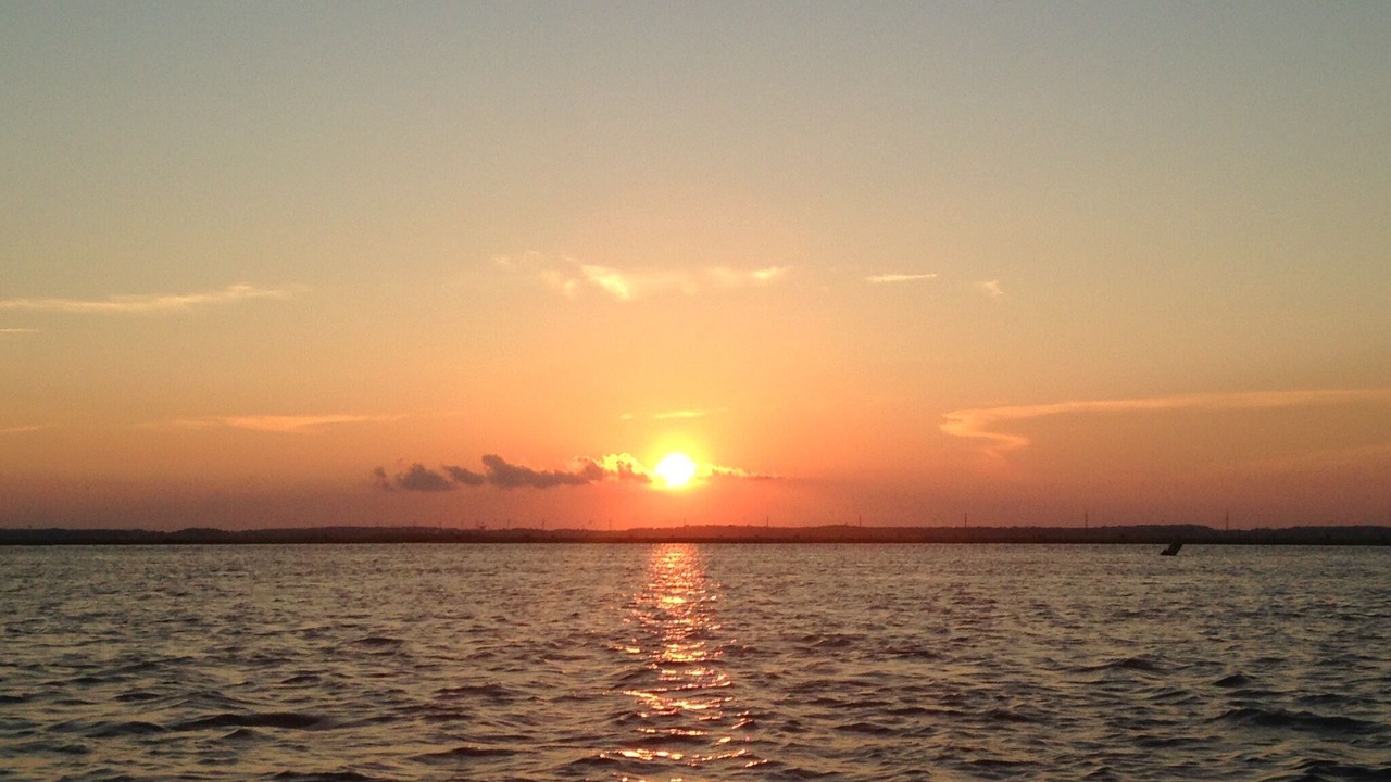 Photo of Others in Chincoteague