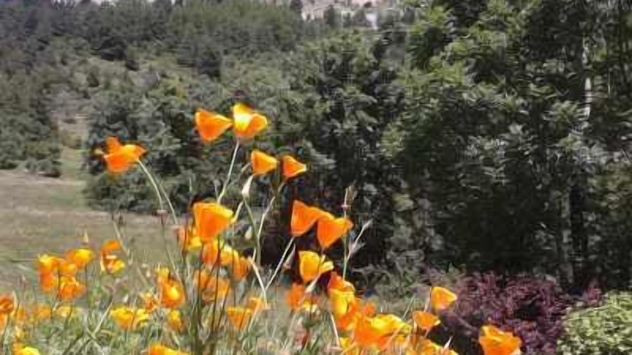 Photo of Outdoor in Saint-Etienne-en-Devoluy