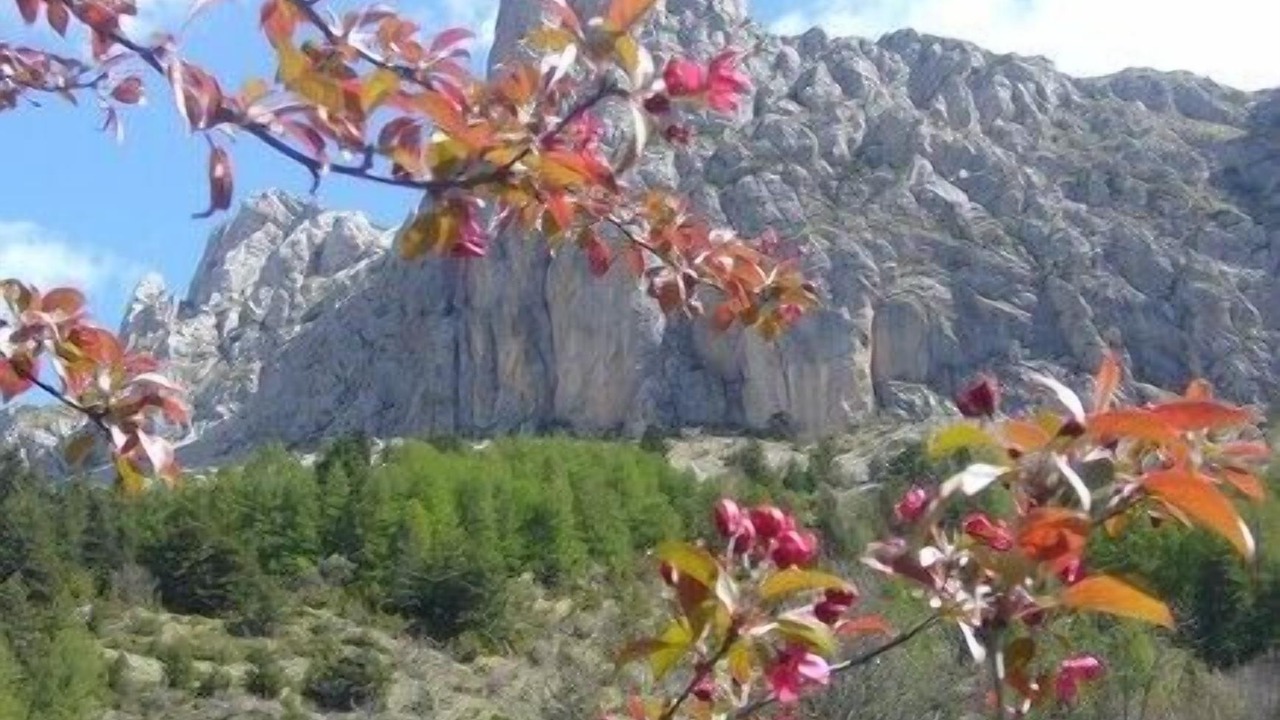 Photo of Outdoor in Saint-Etienne-en-Devoluy
