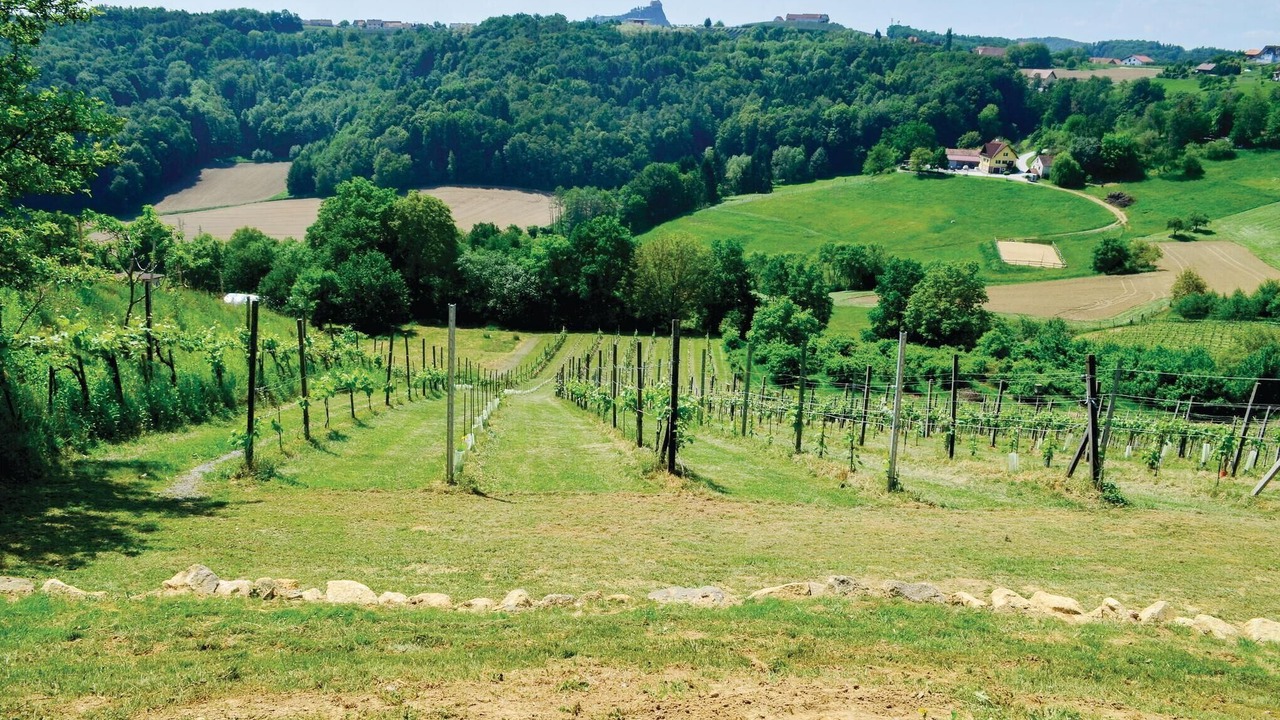 Photo of Outdoor in Breitenfeld an der Rittschein