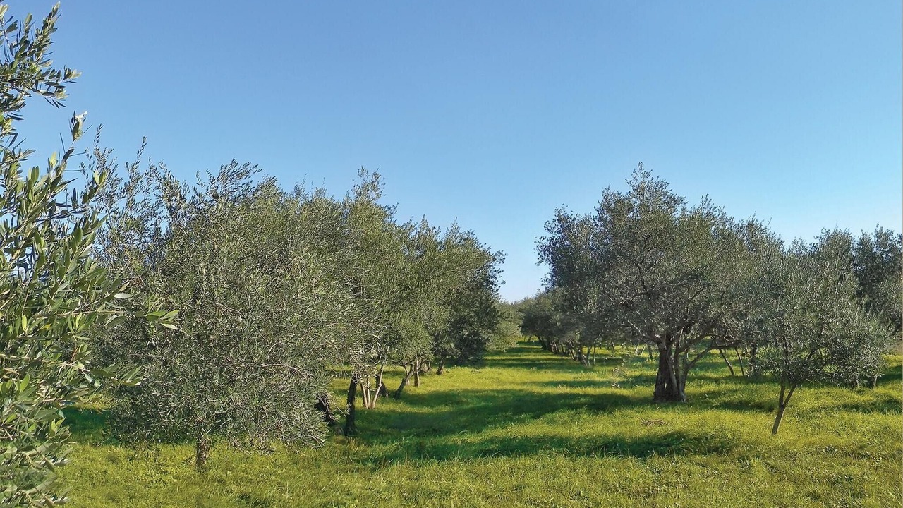 Photo of Outdoor in Drenje