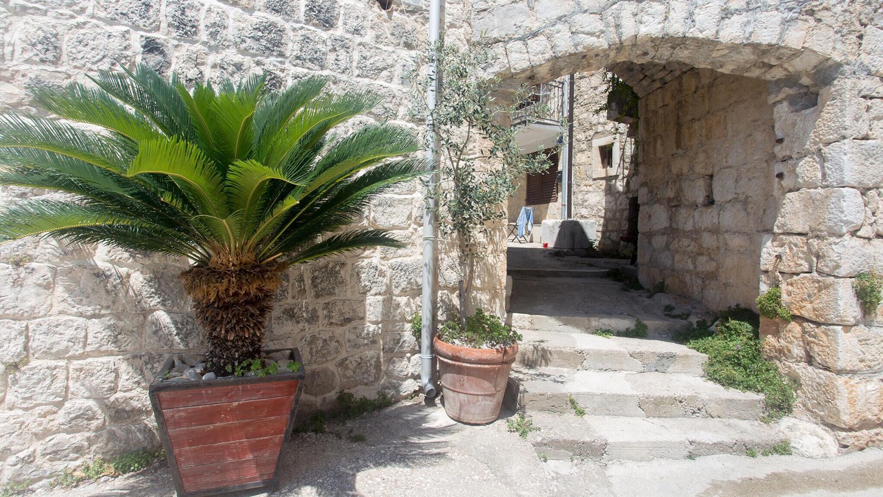 Photo of Others in Gradac