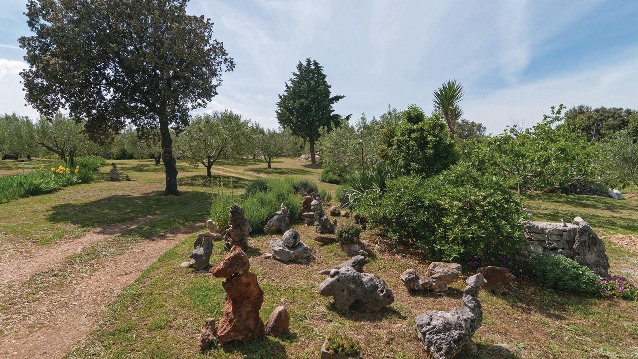 Photo of Outdoor in Pucisca