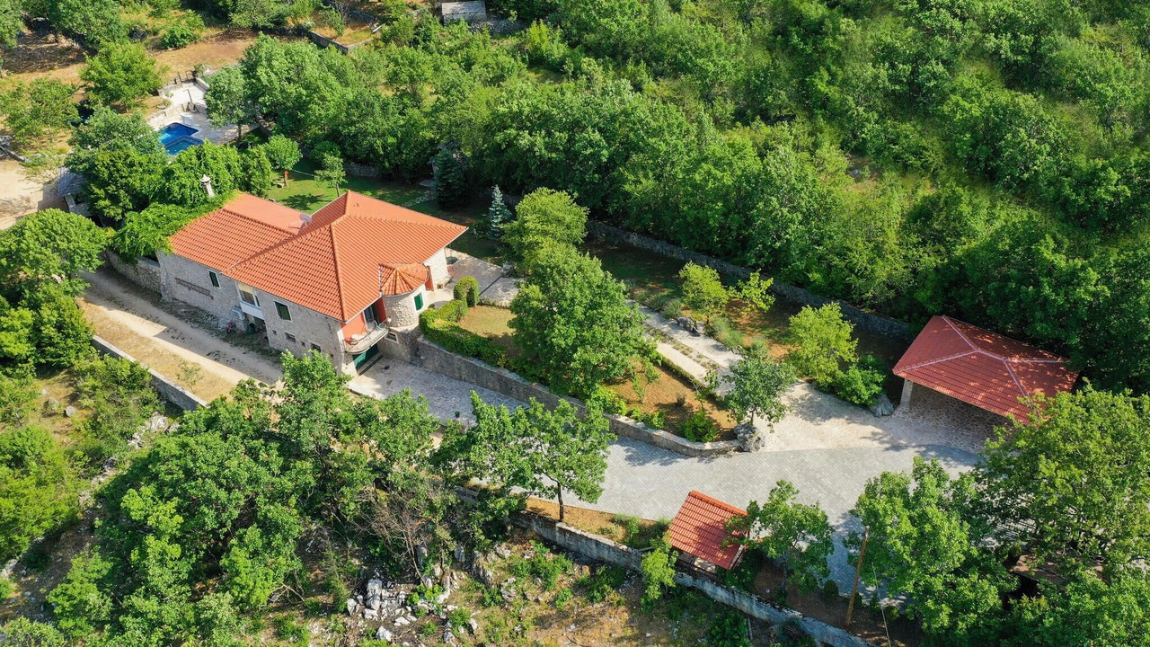 Photo of Others in Grubine