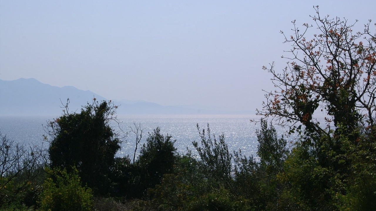 Photo of Others in Podaca