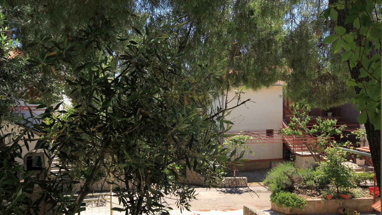 Photo of Others in Ivan Dolac