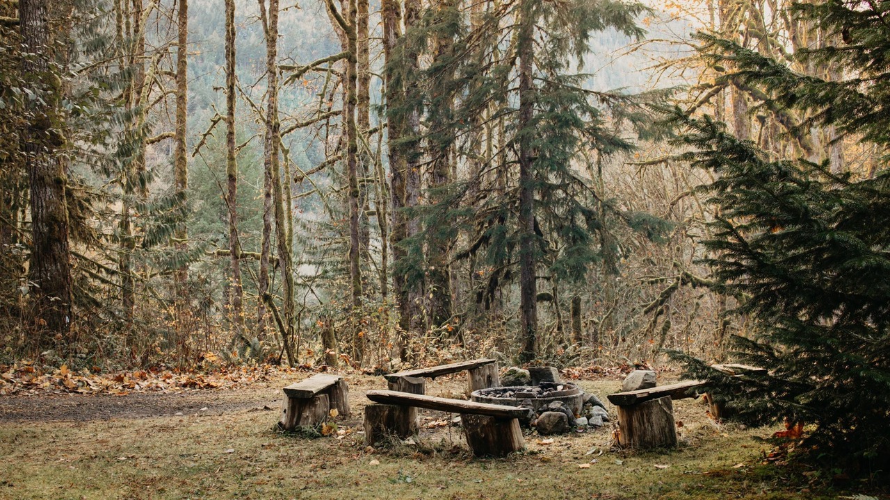 Photo of Outdoor in Warnick