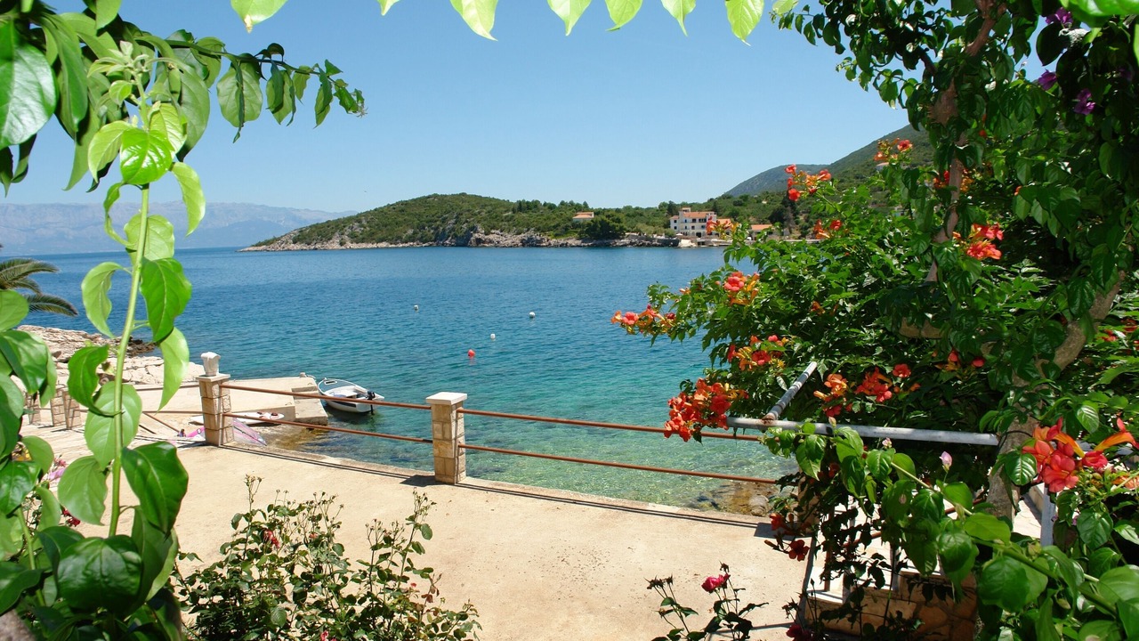 Photo of Outdoor in Pokrivenik