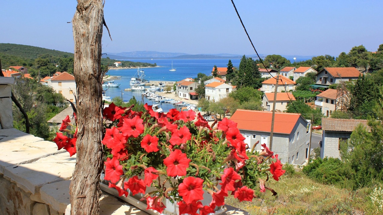 Photo of Outdoor in Zman