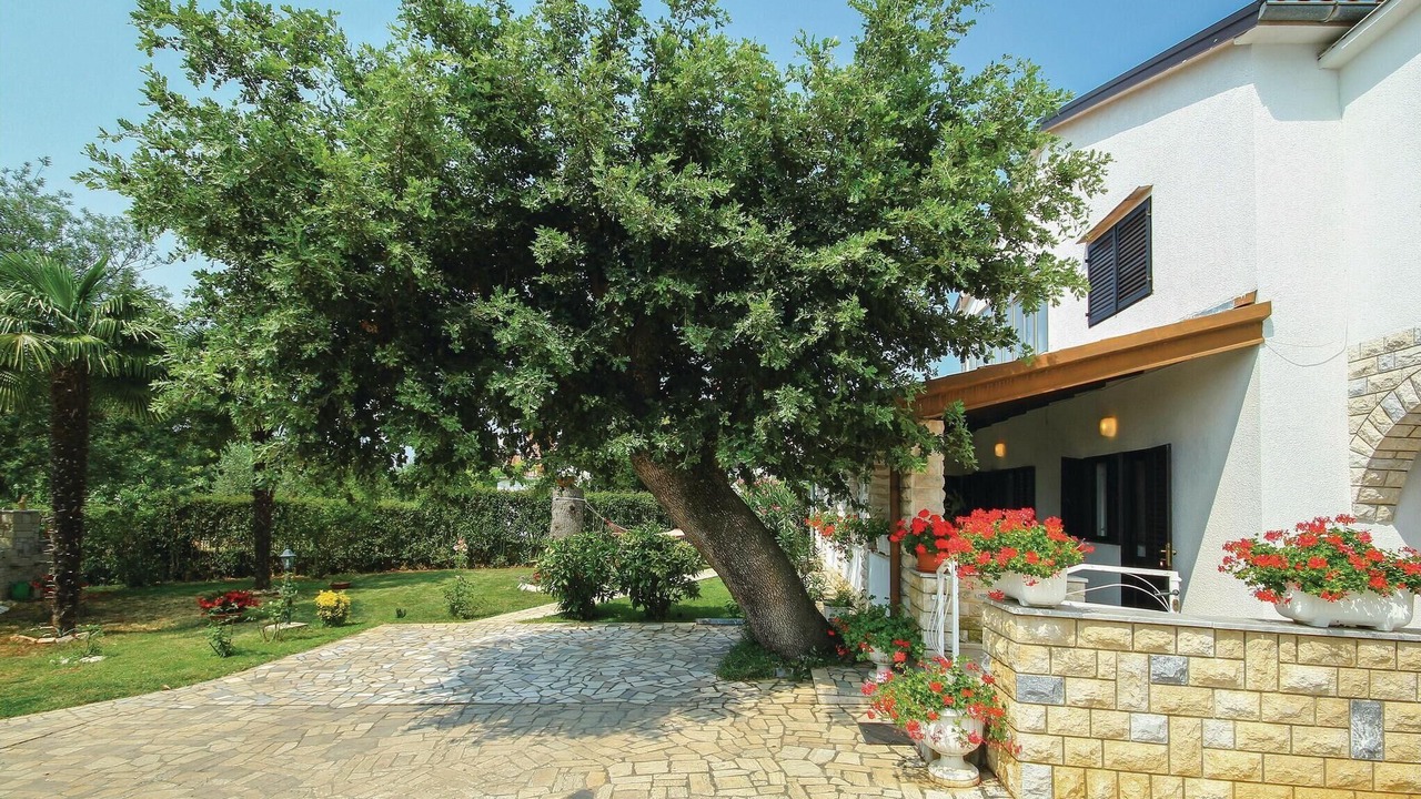 Photo of Outdoor in Kukci