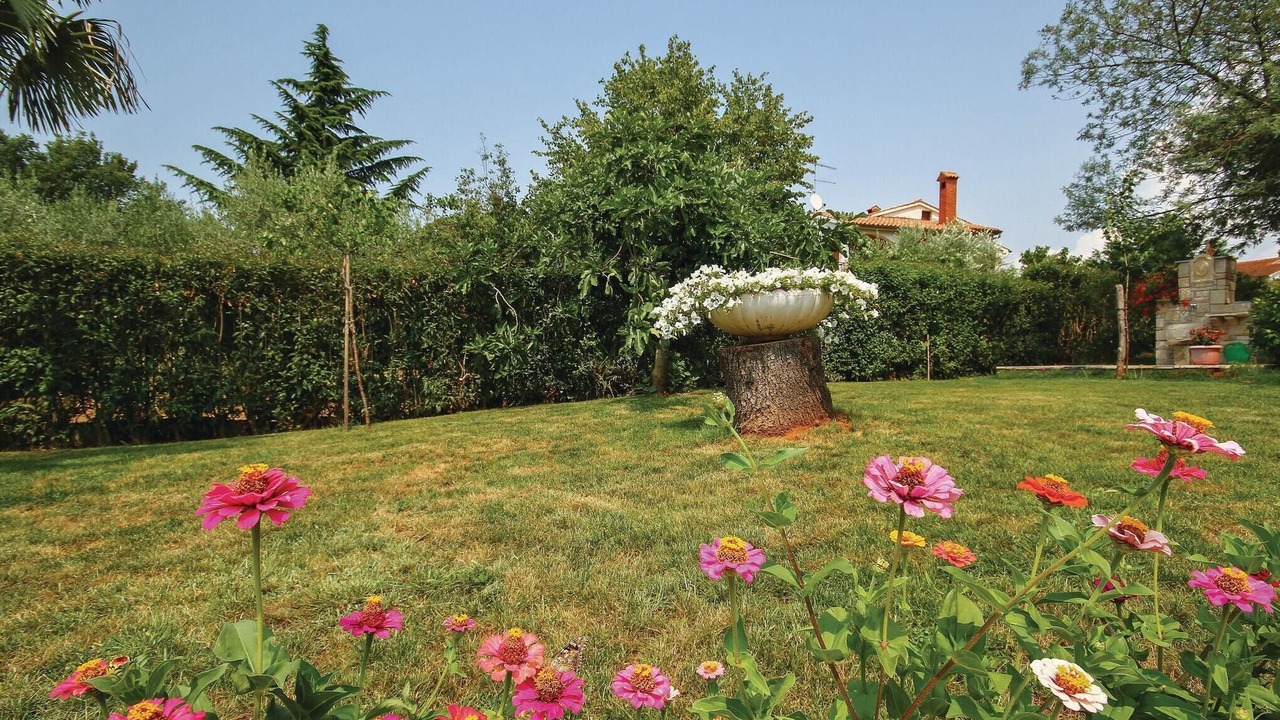 Photo of Outdoor in Kukci