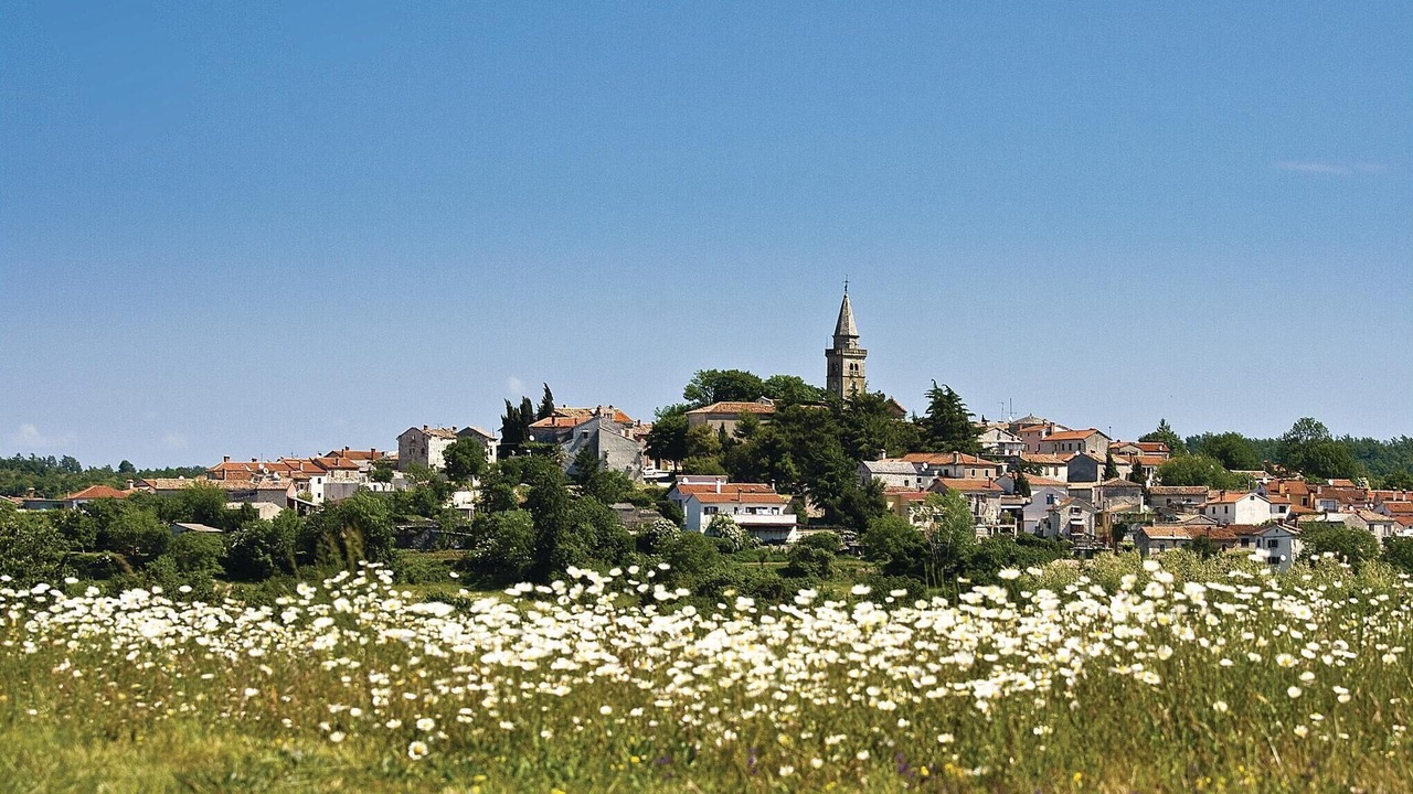 Photo of Others in Modrusani