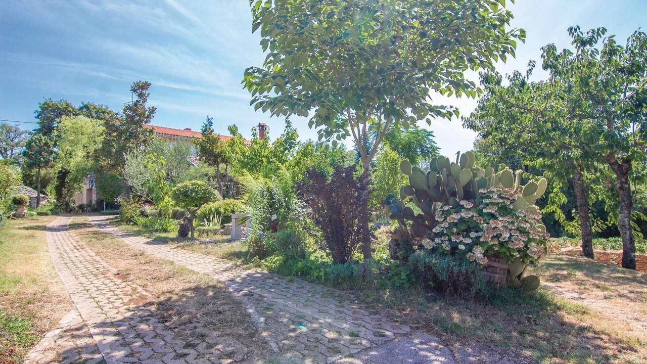 Photo of Others in Modrusani