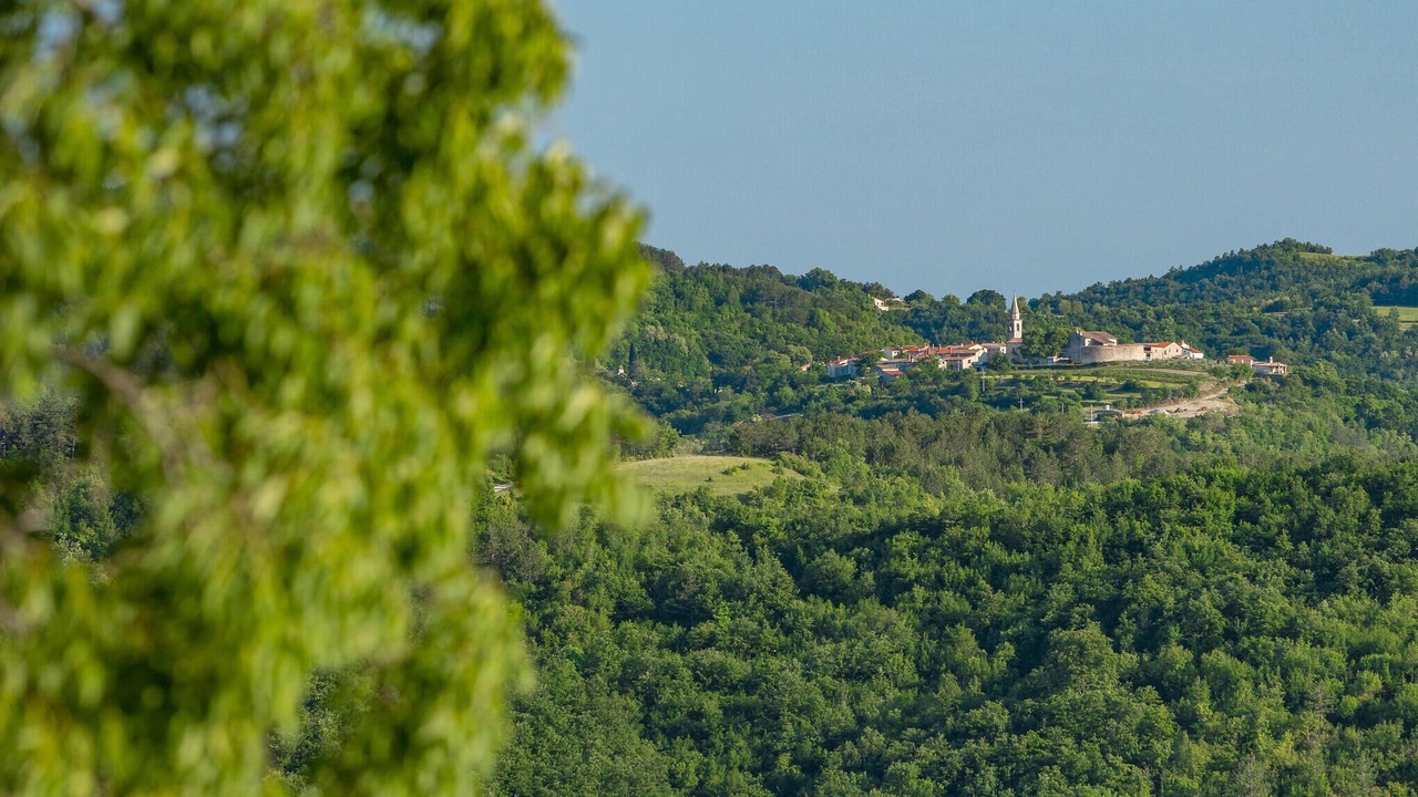 Photo of Bedroom in Buzet