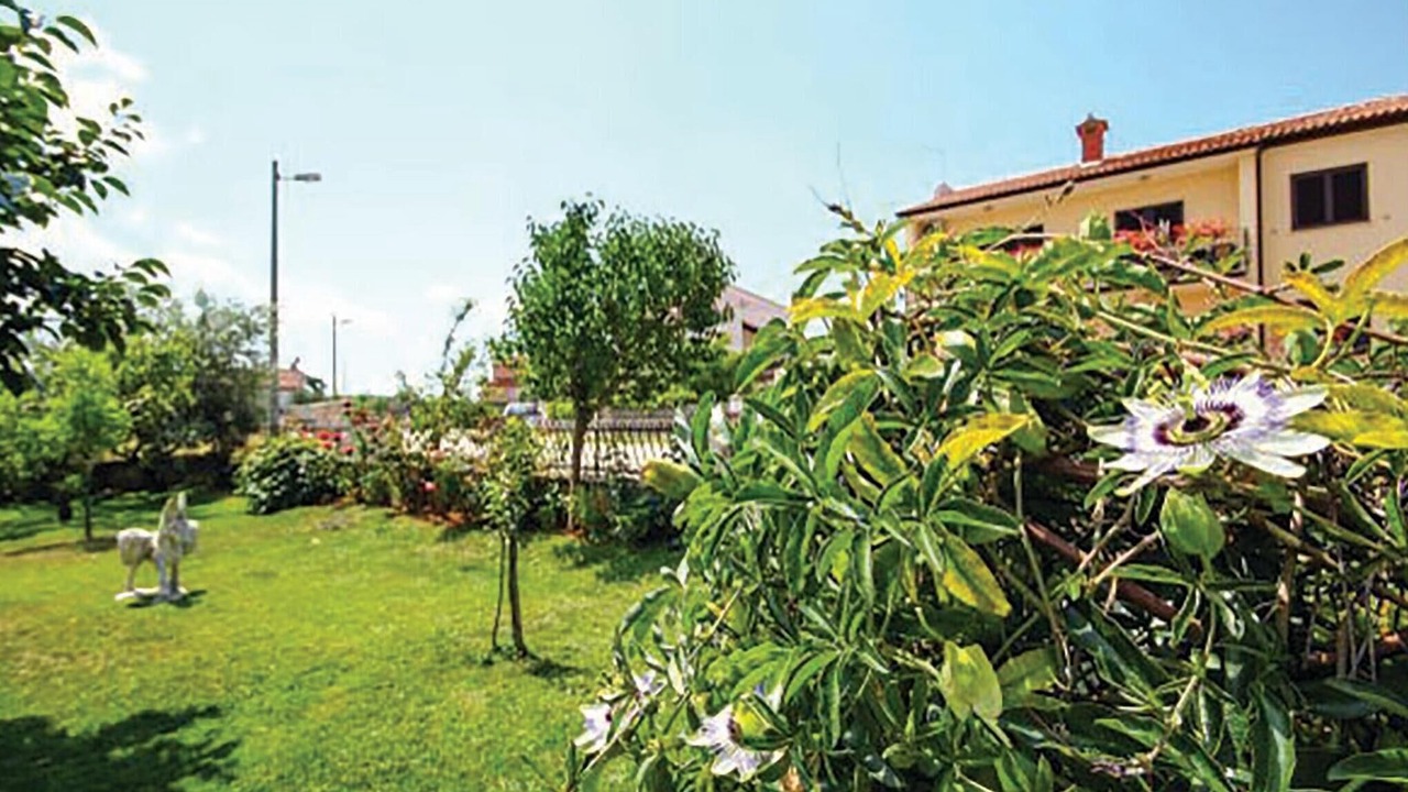 Photo of Others in Vrvari