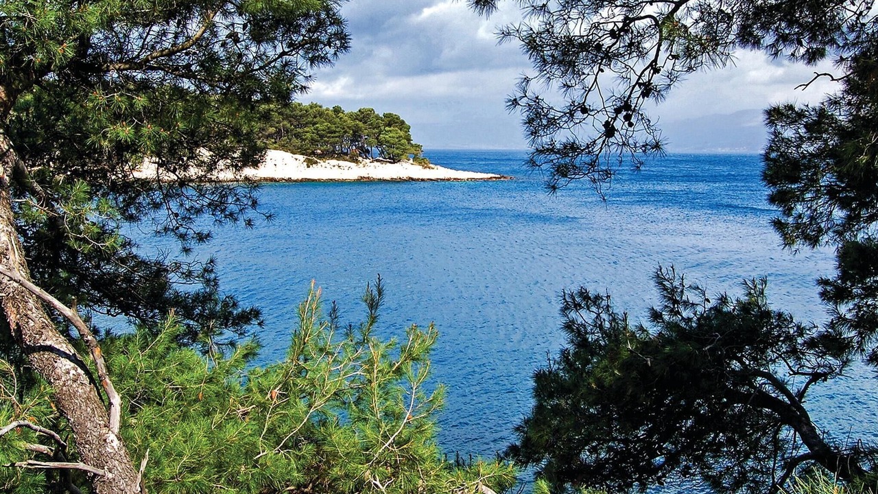Photo of Others in Splitska