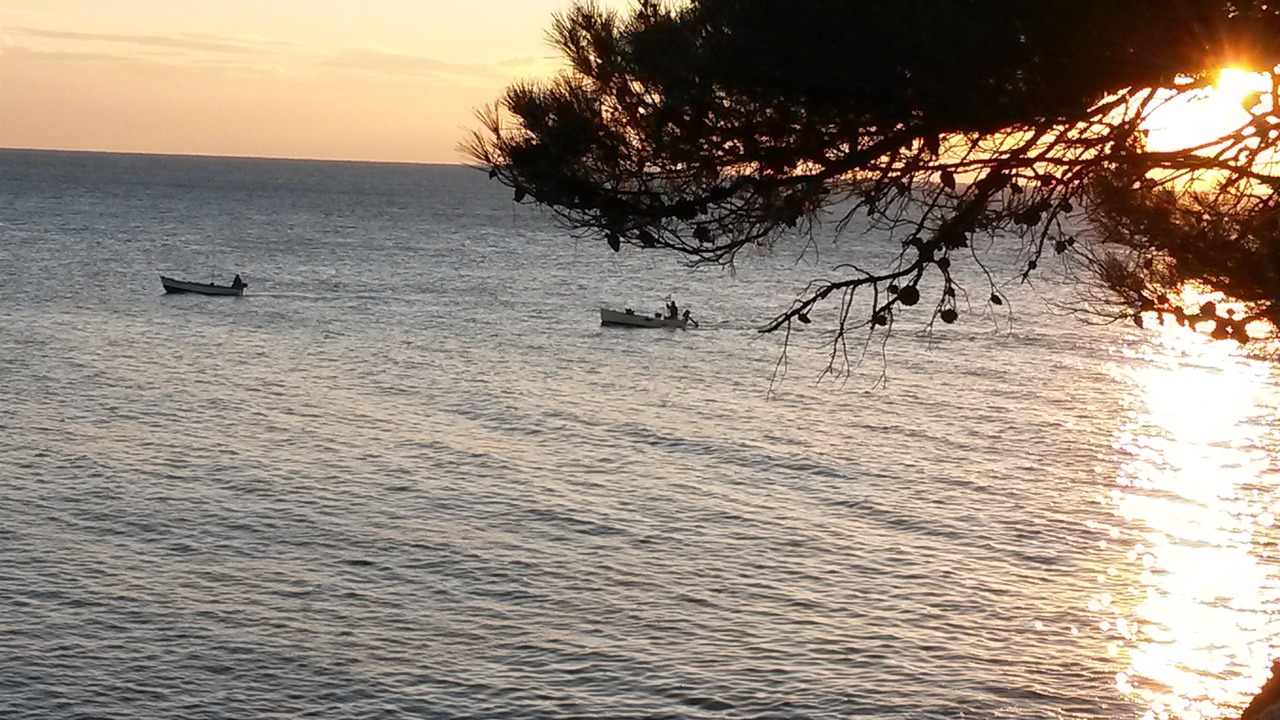Photo of Others in Cove Murtar