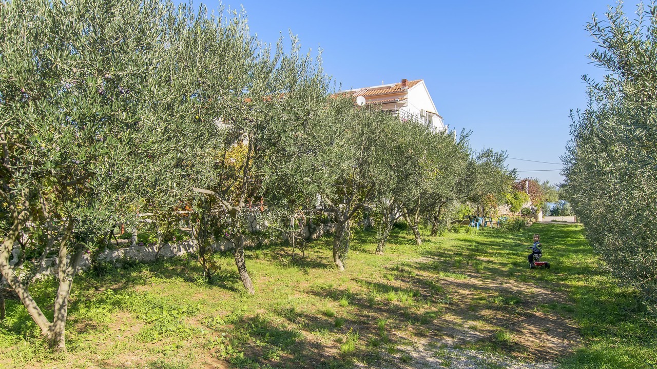 Photo of Outdoor in Kraj
