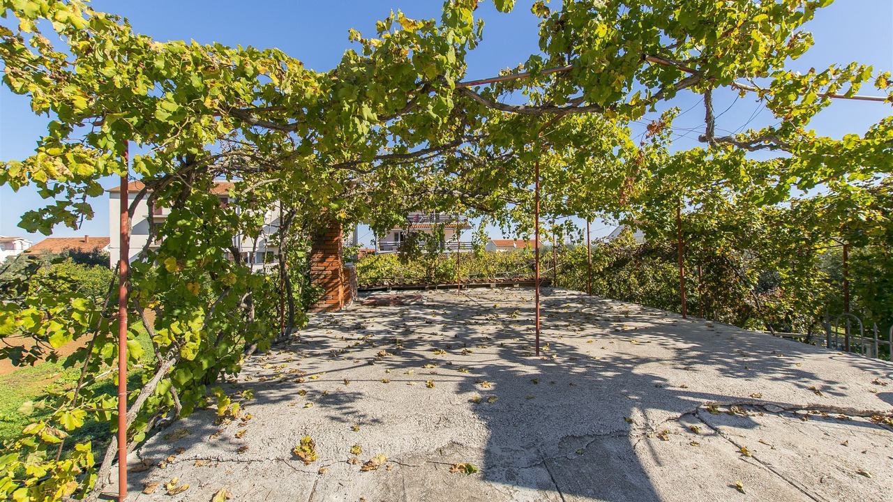 Photo of Outdoor in Kraj
